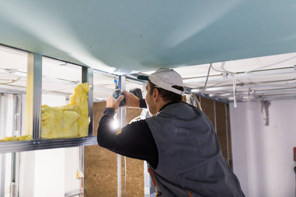 Best Commercial Insulation in Level Plains, AL