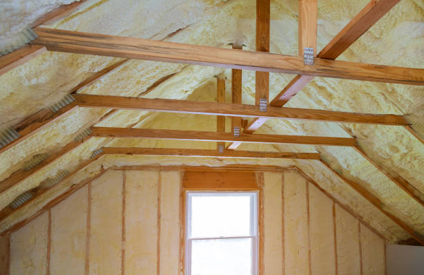 Best Specialized Insulation Services in Level Plains, AL