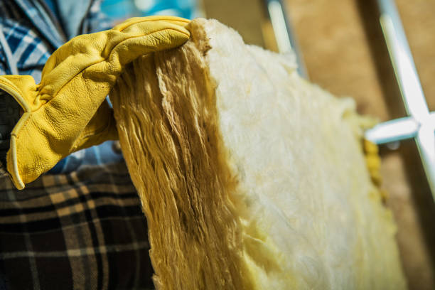 Best Spray Foam Insulation in Level Plains, AL